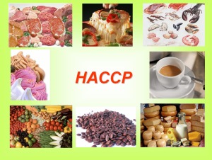 haccp_big